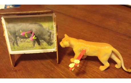 FFTA : Feu vert à partir du 2 juin pour les parcours