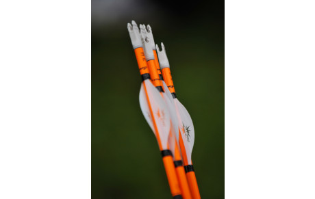 FFTA : Phase 3 - Le protocole 