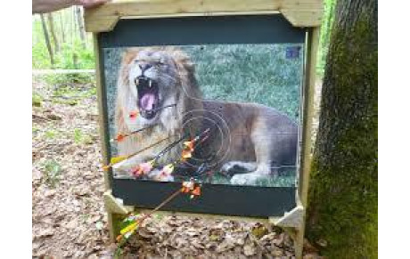 REGIONAL NATURE